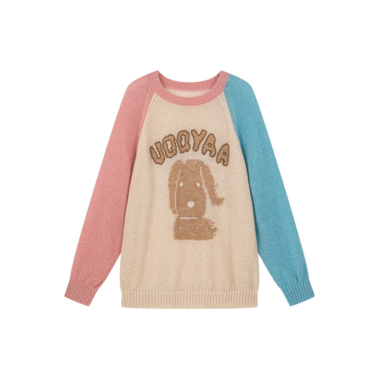 Wind-blown puppy raglan sleeve crewneck sweater