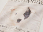 Rescue pet adoption T-shirt