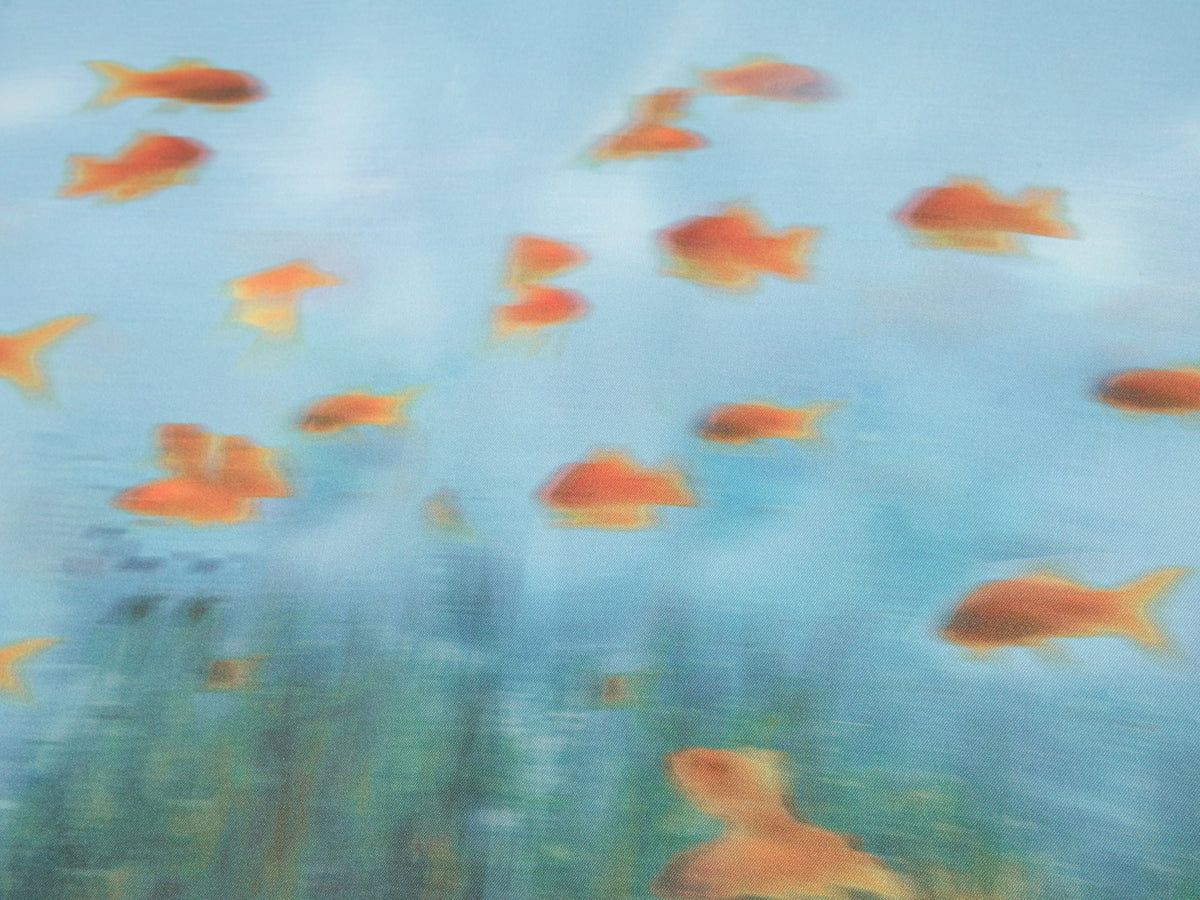 Goldfish tank skirt