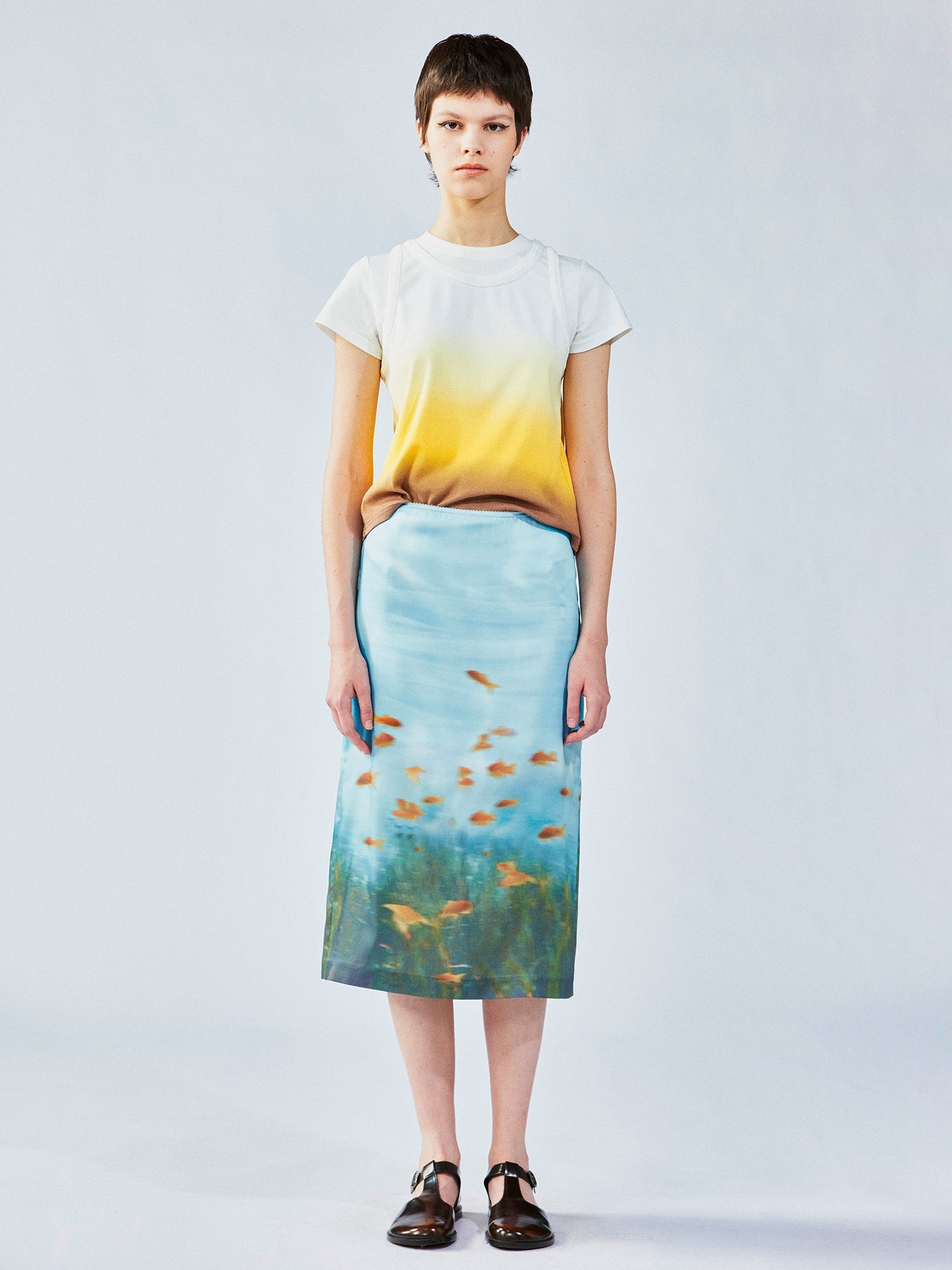 Goldfish tank skirt