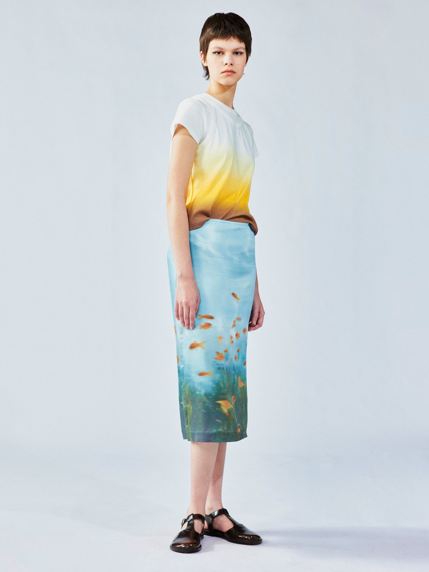 Goldfish tank skirt