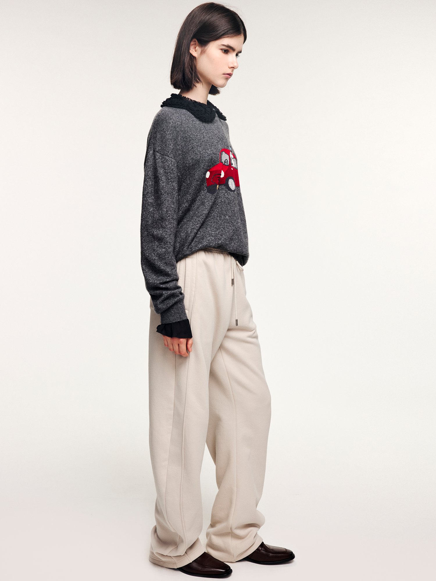 Traveling puppy print colorblock pullover