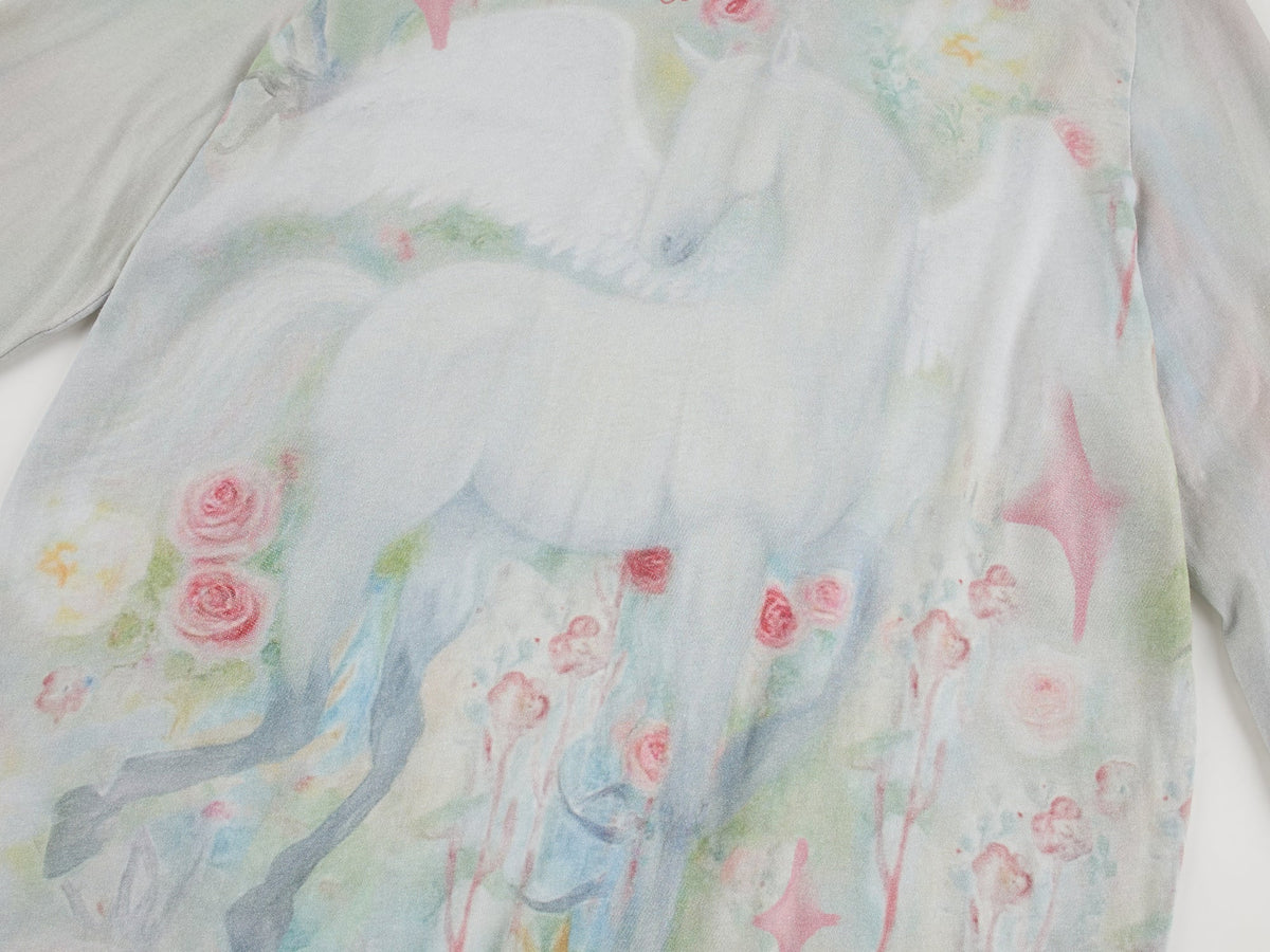 Painted pegasus long sleeve t-shirt