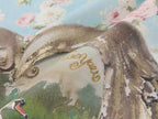 Swan Graphic Print Cotton T-shirt