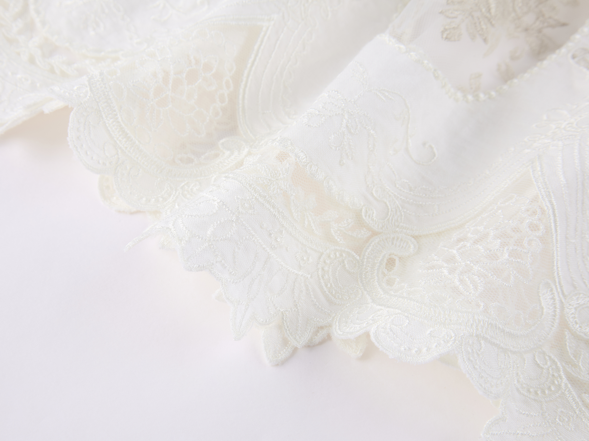 Dimensional Embroidered Lace Flared Skirt