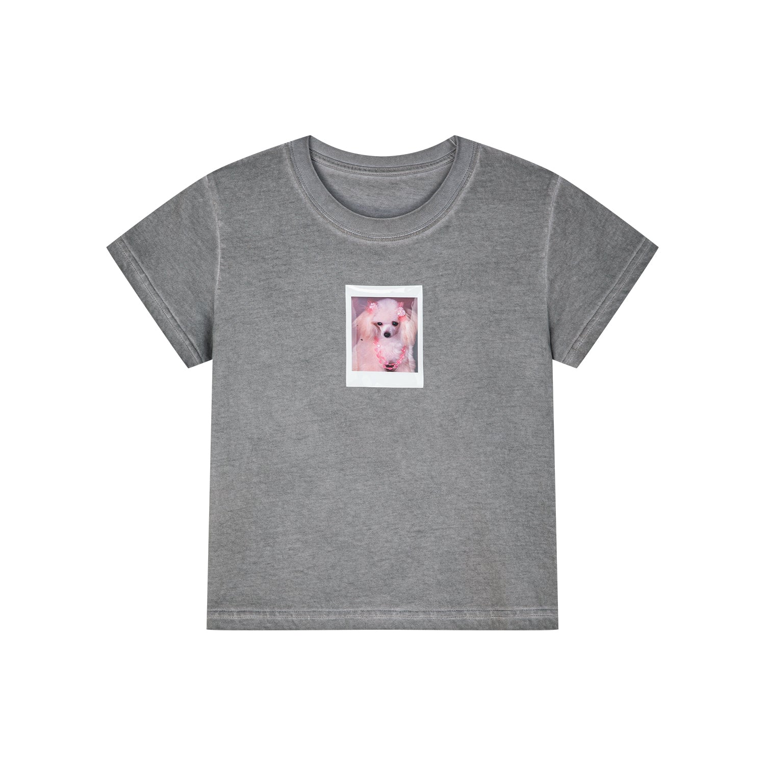 Puppy polaroid printed t-shirt
